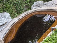 -大连金石滩绿发温泉假日酒店