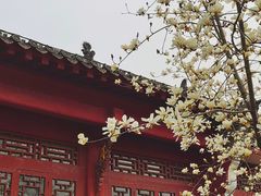 -长春观
