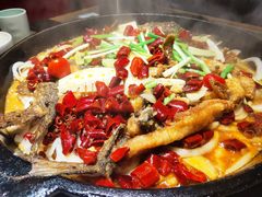 -老板恋上鱼(恒隆广场店)