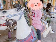 -朝阳公园游乐园