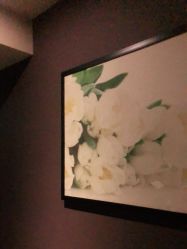 -时尚殿堂·颜SPA