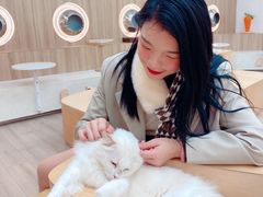 -瞄一喵猫咖(格力海岸店)