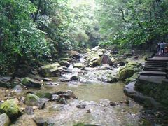 山涧小溪-鼎湖山风景区