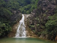 -南海湾森林生态园