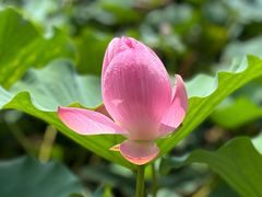 -重元寺