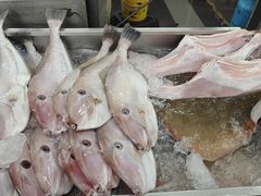-明记烧鱼美味店