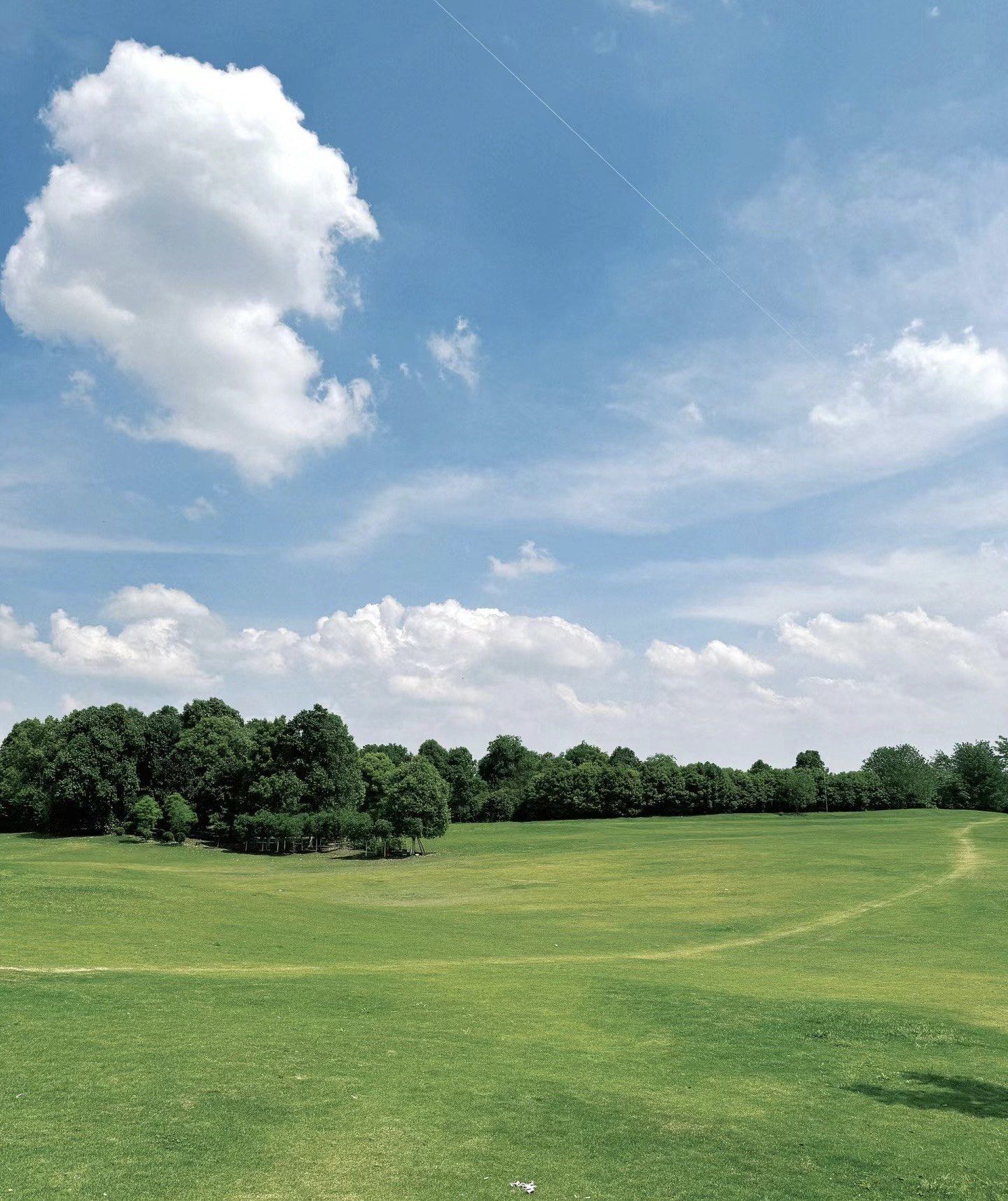 成都西门40分钟丨"呼伦贝尔"大草坪露营