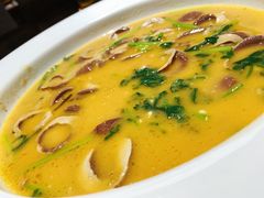 -三强鸽子(中原路店)