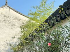 -黎里古镇