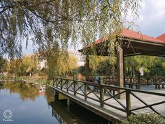 -中国海洋大学（崂山校区）-图书馆