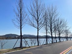 -羊山湖公园