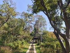 -青龙山国家森林公园