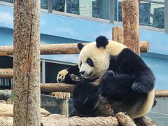 -大连森林动物园