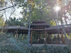 -攀枝花公园