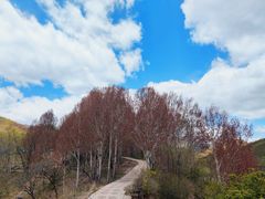 -玉渡山自然风景区