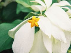 -海珠湖公园