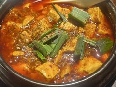 -陈麻婆豆腐总店