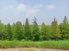 -南汇嘴观海公园