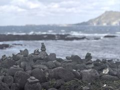 -涉地可支