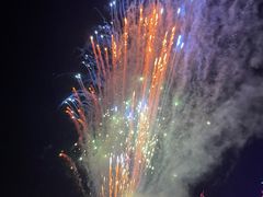 -东南花都花博园