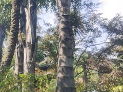 -昆明柏联SPA温泉