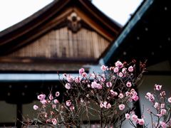 -京都御所