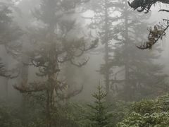 -海螺沟风景区