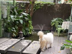 -绿房子方寸咖啡(星海名城店)