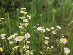 -尚水元休闲自助餐厅(中央城店)