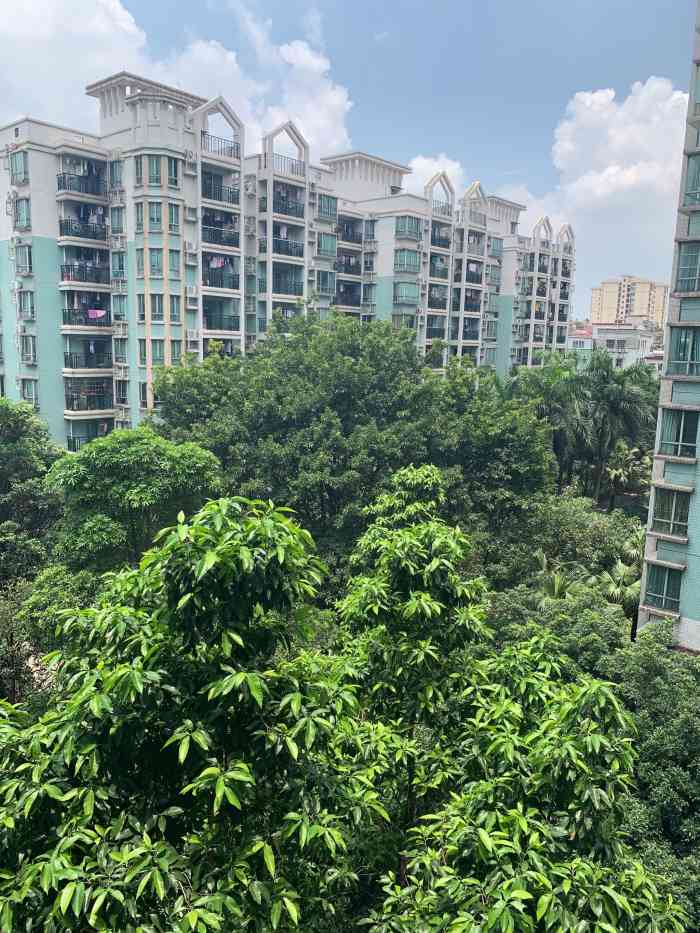 富力阳光美居-"这个楼盘其实是在黄石路那一边,黄石路是一.