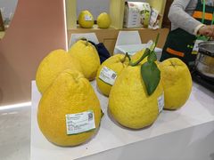 -上海跨国采购会展中心