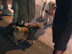 -王红军龙虾(新民路店)