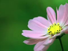 -青峰峡国家森林公园