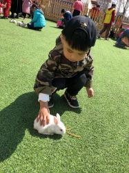 -萌宠亲子动物乐园(槐房万达店)