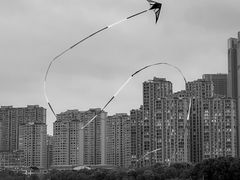 -苏州湾体育公园
