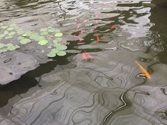 -汤山翠谷生态餐厅