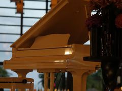 -亚龙湾喜来登·美景台大堂吧