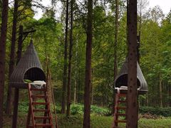 -黄海国家森林公园