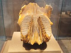 -丁村民俗博物馆