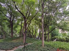 -徐家汇源景区-衡山公园