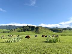 -新疆那拉提国家旅游度假区