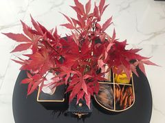 -和里合·颜愈SPA·Relax瑶浴·Massage(石厦店)