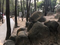 -火炉山森林公园