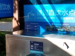 -万绿园