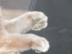-青藏高原野生动物园