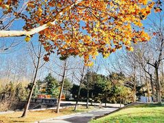 -稻香湖景欢乐岛温泉城堡