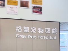 -格蕾宠物医院24H·猫科·肿瘤科·骨科中心(福州总院)