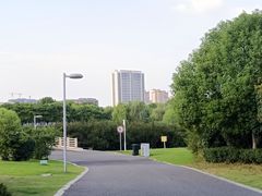 -九里河湿地公园