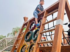 -大兴滨河森林公园