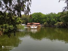 -深圳野生动物园
